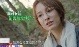 吴昕爆料何炅植发视频,吴昕意外曝光，揭秘明星保养秘诀